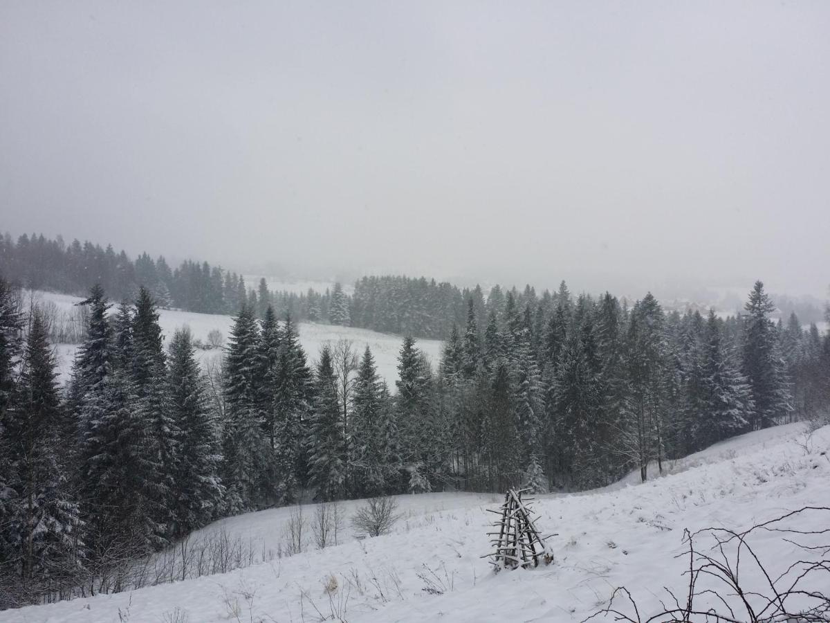 Apartament U Ewki Rdzawka Bagian luar foto
