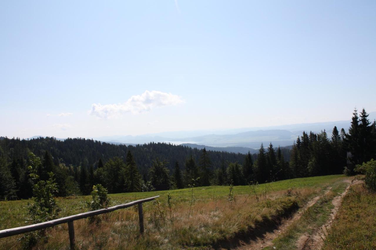 Apartament U Ewki Rdzawka Bagian luar foto