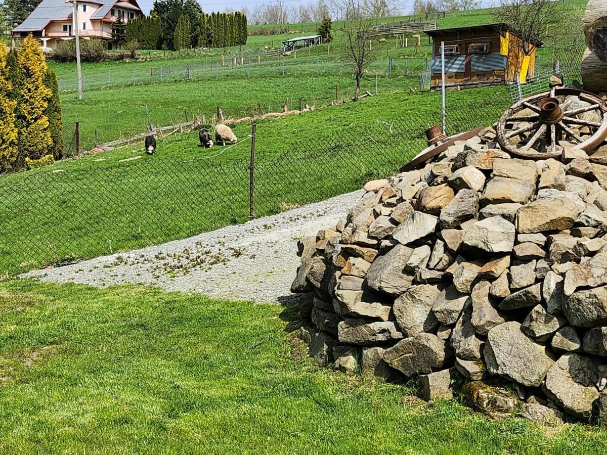 Apartament U Ewki Rdzawka Bagian luar foto