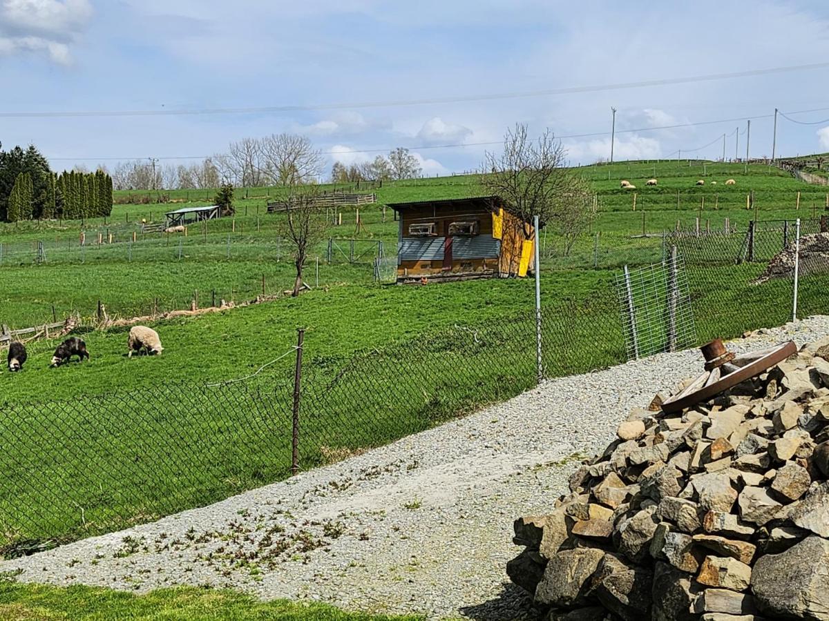 Apartament U Ewki Rdzawka Bagian luar foto